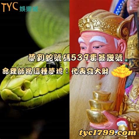 夢到女人是幾號|【夢境號碼分析】夢境號碼分析神準！解夢數字原來能。